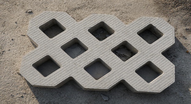 Grass Paver Block